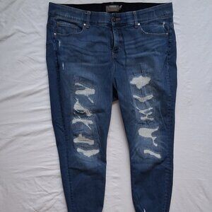 Torrid, Jeans, Blue, Frayed/Ripped, 20S, Excellent